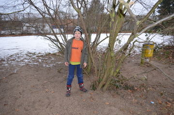 Jahn beobachtet "seinen" Baum in den verschiedenen Jahreszeiten.