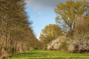 Marschhufenlandschaft