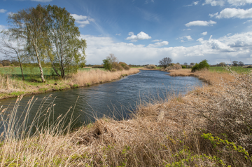 Zufluss zur Elbe