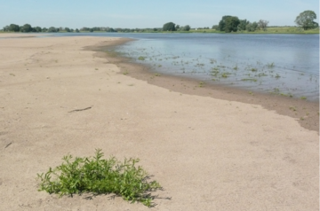 Elbstrand bei Schnackenburg