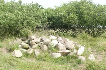 Findlingshaufen als Überwinterungsquartier