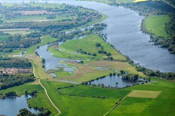 Überschwemmungsgebiet der Elbe auf dem Vierwerder - © ADV
