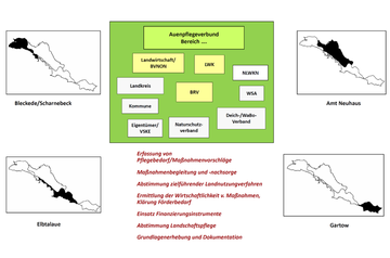 Schaubild Struktur Auenpflegeverbund - © BRV