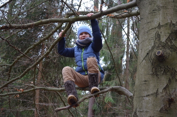 Junior Ranger