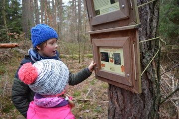 Junior Ranger