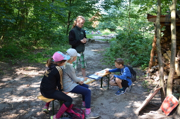 Wald-Biosphären-Spiele