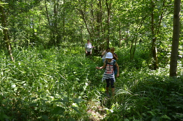 Wald-Biosphären-Spiele