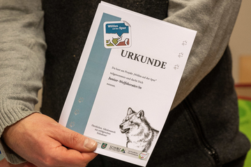 Urkunde