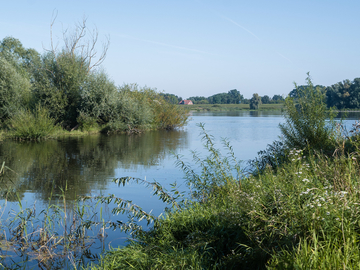 Natur am Grünen Band bei Hitzacker