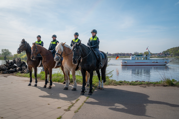 Polizeireiter*innen mit Fähre im Hintergrund