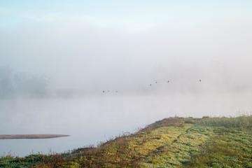 Die Elbe im Nebelkleid