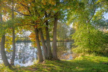 Herbstimpressionen