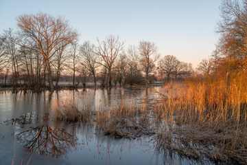 Morgenstimmung am Gümser See