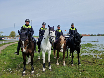 Polizeireiterstaffel 2023 am Hafen Neu Darchau