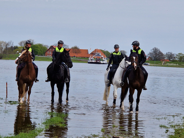 Polizeireiterstaffel 2023 am Hafen Neu Darchau