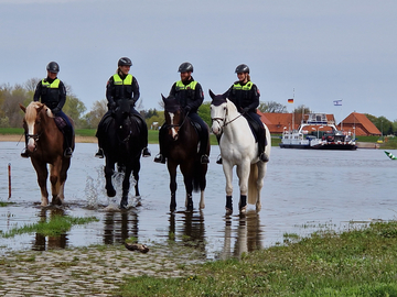 Polizeireiterstaffeln 2023 am Hafen Neu Darchau