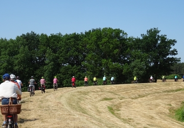 Radfahren auf dem Deich