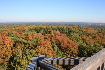 Blick vom Aussichtsturm Hoher Mechtin