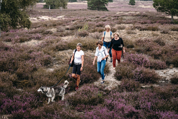 Wandergruppe in der Nemitzer Heide