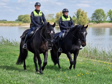 Die Polizeikommissarinnen A. Hartmann und C. Witte (v.l.n.r.) reiten auf ihren Pferden an der Elbe.
