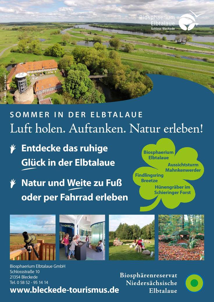 Sommer in der Elbtalaue