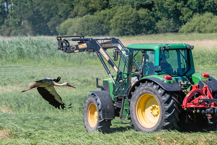 Storch und Trecker