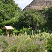 Insektenhotel und Staudengarten