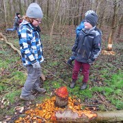 Junior-Ranger entdecken Biberspuren