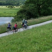 Radfahrer in der Elbtalaue