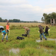 Freiwilligeneinsatz zur Entnahme von Wasserpflanzen