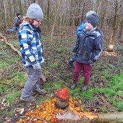 Junior-Ranger entdecken Biberspuren