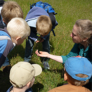 Junior-Ranger in der Elbtalaue