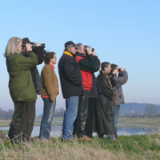 Sachkundige Experten bieten geführte Wanderungen zum Weißstorch an (Foto: BRV/ B. Königstedt).
