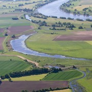 Taube Elbe