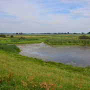 Elbe bei Penkefitz