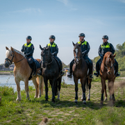 Polizeireiter*innen an der Elbe