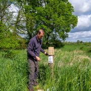 Wildbienen-Monitoring