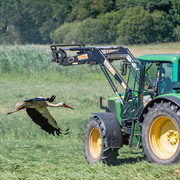 Storch und Trecker