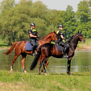 Polizeireiter im Erholungsbereich bei Vietze