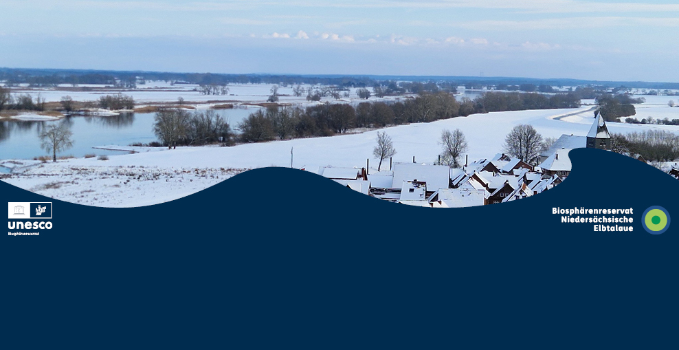 Das Bild zeigt die Elbe bei Hitzacker. Die Landschaft liegt unter einer Schneedecke.