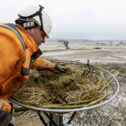 Das Bild zeigt einen Mann, der einen Fischadlerhorst aufstellt und diesen mit Nistmaterial auskleidet.