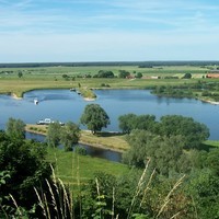 Elbe