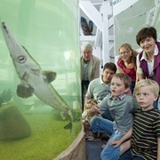 Stör im Biosphaerium