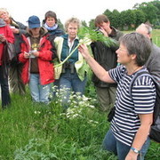 Botanische Exkursion