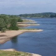 Buhnen an der Elbe