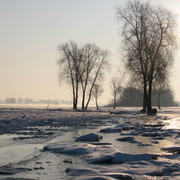 Eisgang auf der Elbe