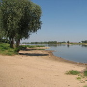 Elbe im Sommer