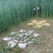 Land-Art